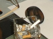 Vorb-Wichtel 009 - Kopie.JPG
