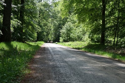 k-DSC07235.JPG