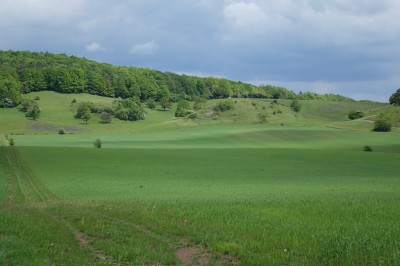 k-DSC03011.JPG