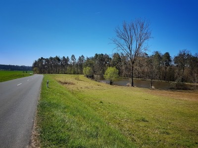 Karpfentour 2.jpg