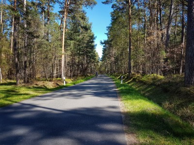 Karpfentour 5.jpg